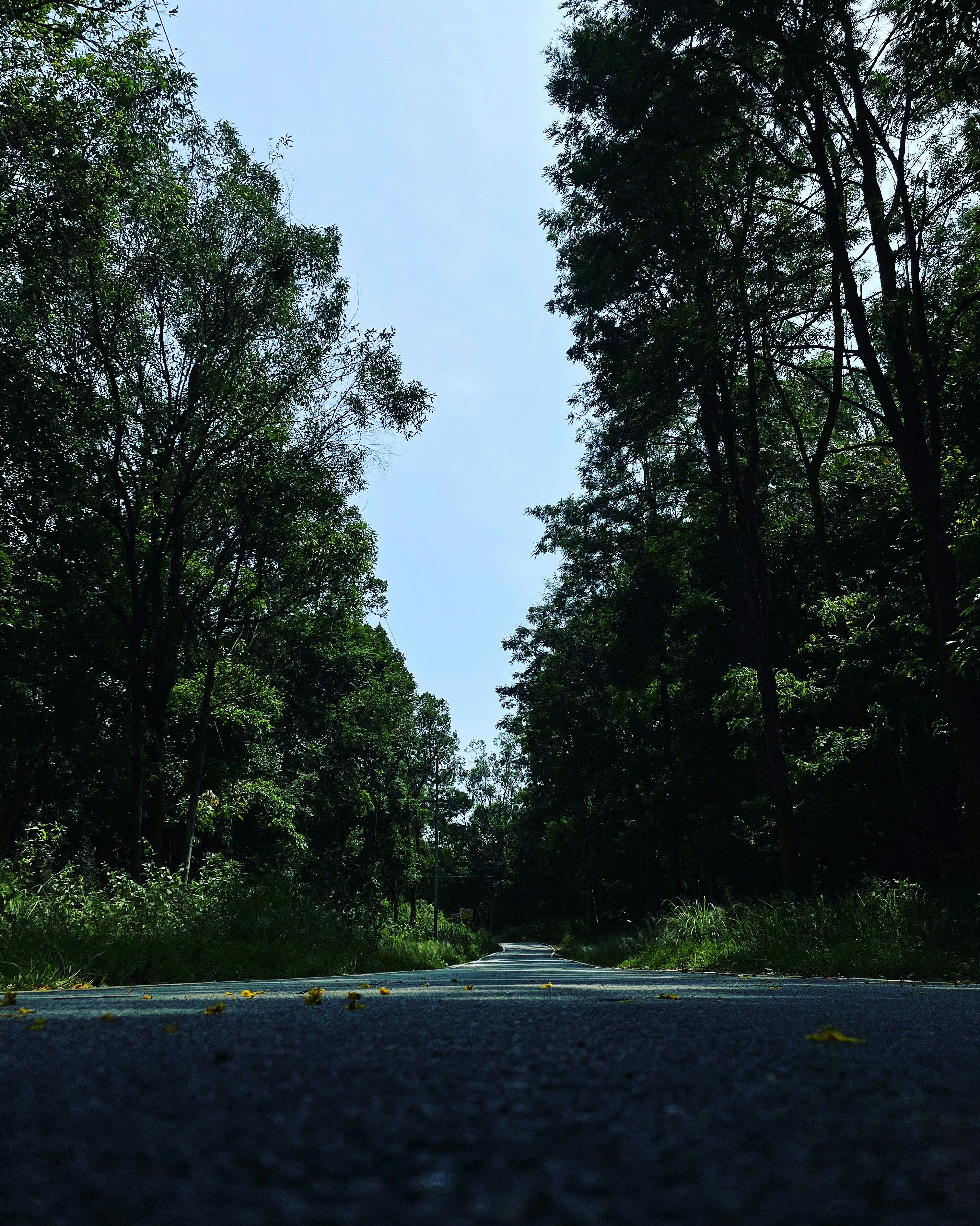 Photo by sujeeth_kumar