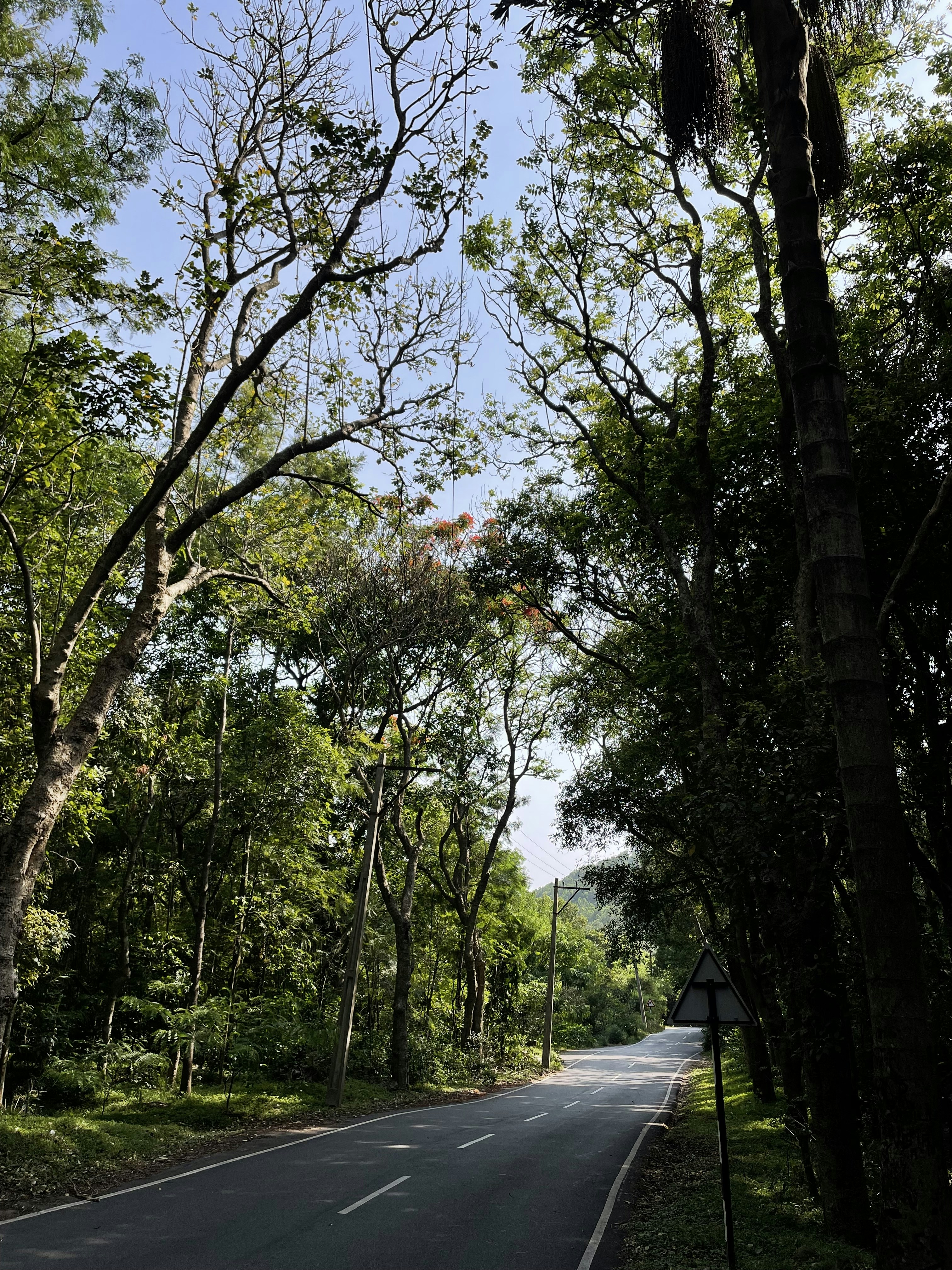 Photo by sujeeth_kumar