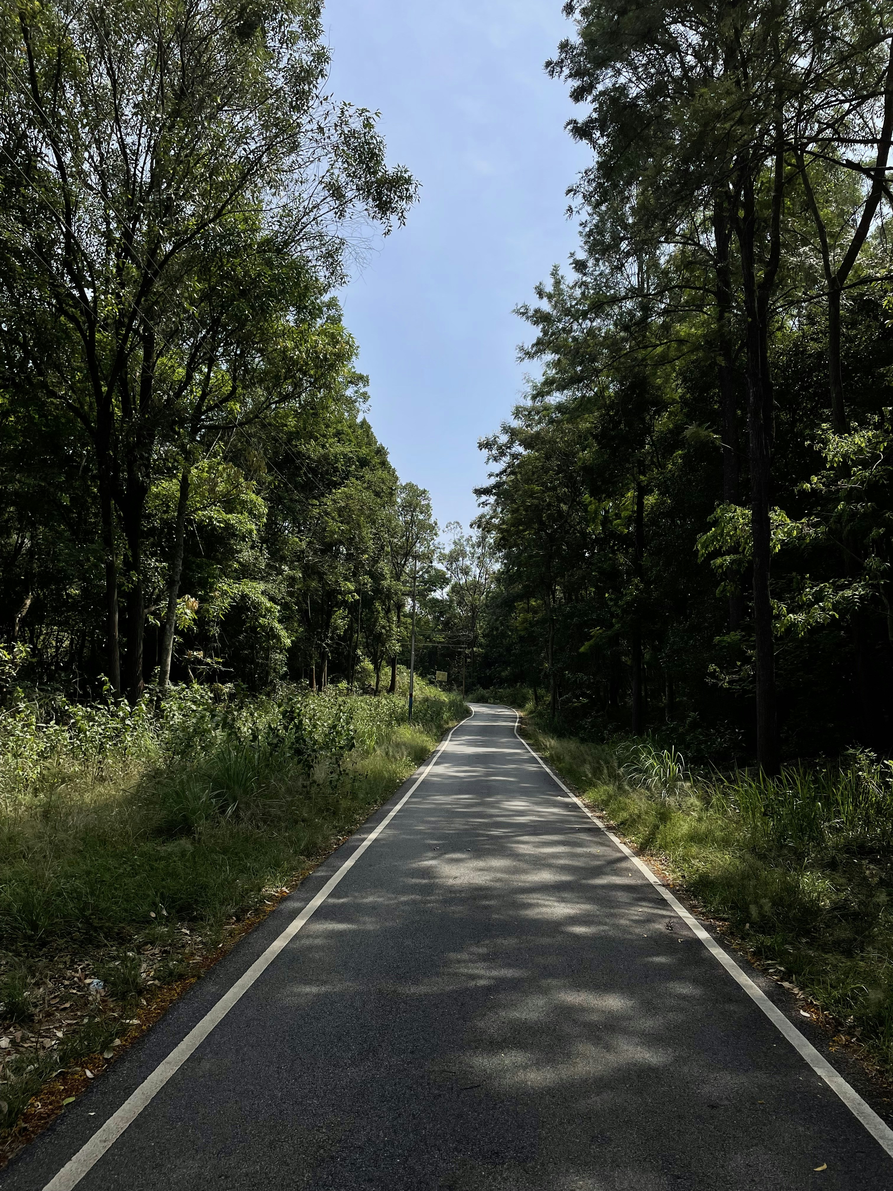 Photo by sujeeth_kumar