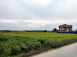 A large, multi-story house with a red roof stands in the middle of a green field. A blue fence surrounds part of the property. The sky above is cloudy, with shades of gray and white. Trees are scattered in the background, and a road runs alongside the field.