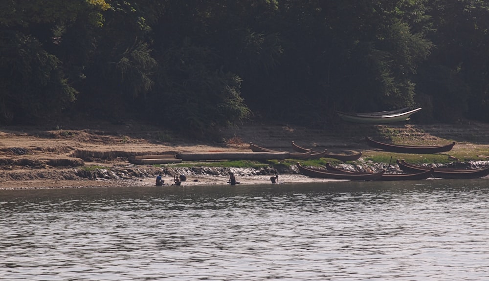 a group of canoes sitting on the shore of a lake