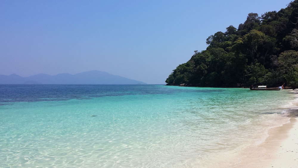 a beach with clear blue water and trees