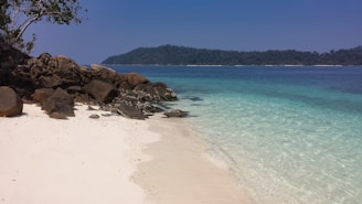 a sandy beach with clear blue water and rocks