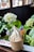 A cup of vanilla soft serve ice cream is placed on a wooden surface. The ice cream is swirled and decorated with a thin waffle biscuit. In the background, there are lush green leaves and white hydrangea flowers, adding a natural touch.