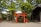 Traveler taking photos of a vibrant red torii gate at a peaceful Japanese shrine.