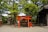 Traveler taking photos of a vibrant red torii gate at a peaceful Japanese shrine.