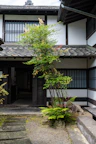 A traditional Japanese house with a tiled roof, wooden framing, and sliding windows. The entrance is surrounded by a small garden featuring a tree with lush green leaves and ferns growing at its base. Stone steps lead up to the doorway, and a gravel path is visible in the foreground.