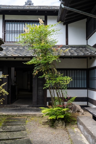 A traditional Japanese house with a tiled roof, wooden framing, and sliding windows. The entrance is surrounded by a small garden featuring a tree with lush green leaves and ferns growing at its base. Stone steps lead up to the doorway, and a gravel path is visible in the foreground.