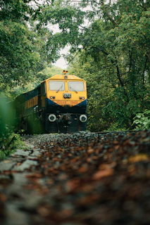 a train traveling through a lush green forest