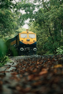A train is traveling through a lush, green forested area. The bright yellow and blue locomotive contrasts with the dense canopy of trees that surround the railway track. The ground is covered with gravel, and the perspective is low, focusing on the front of the train as it approaches.