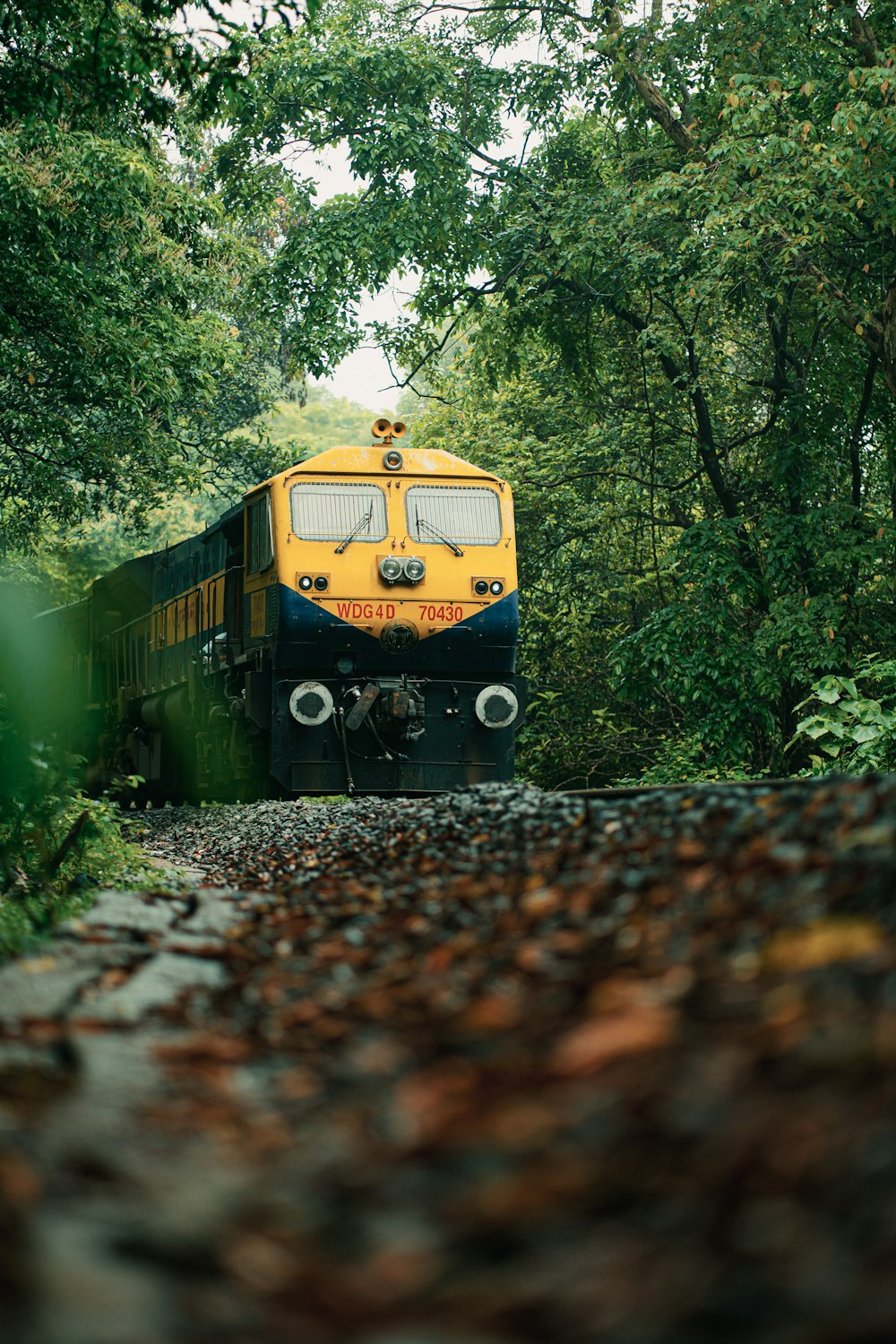 a train traveling through a lush green forest