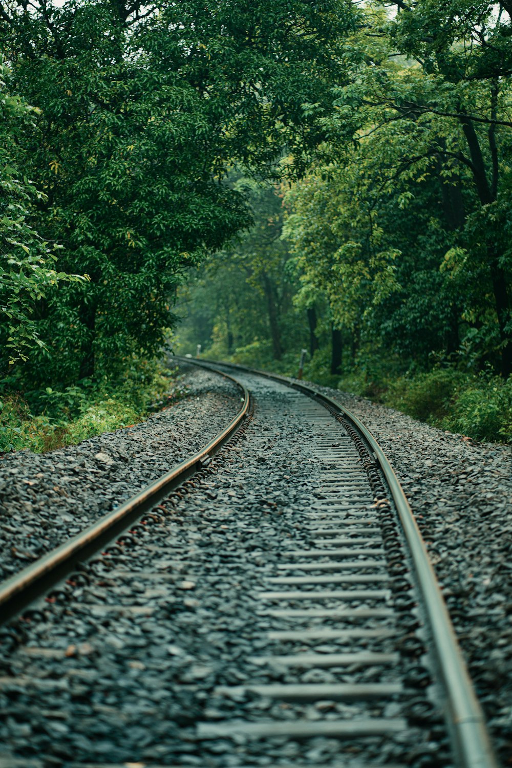 a train track in the middle of a wooded area