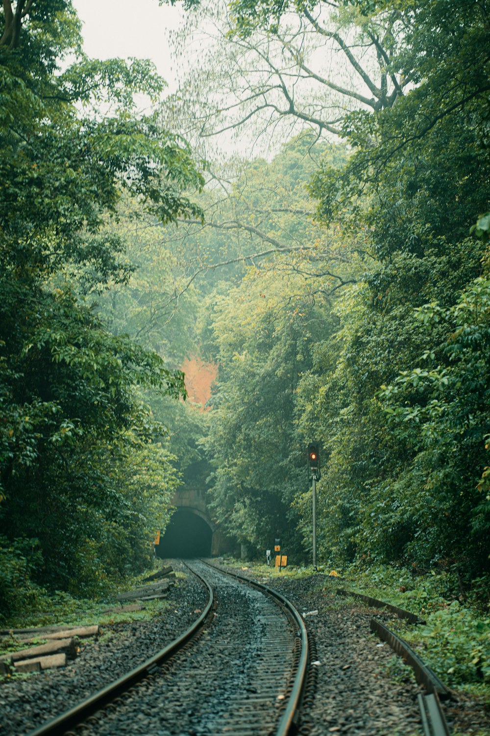 a train track in the middle of a forest