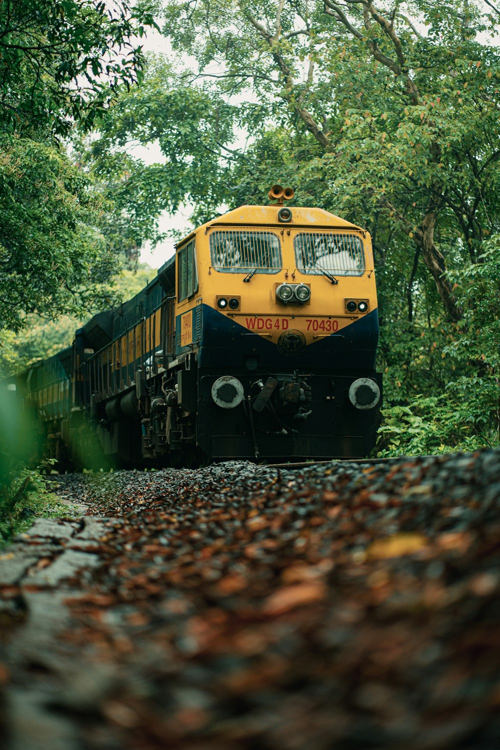 a train traveling through a lush green forest