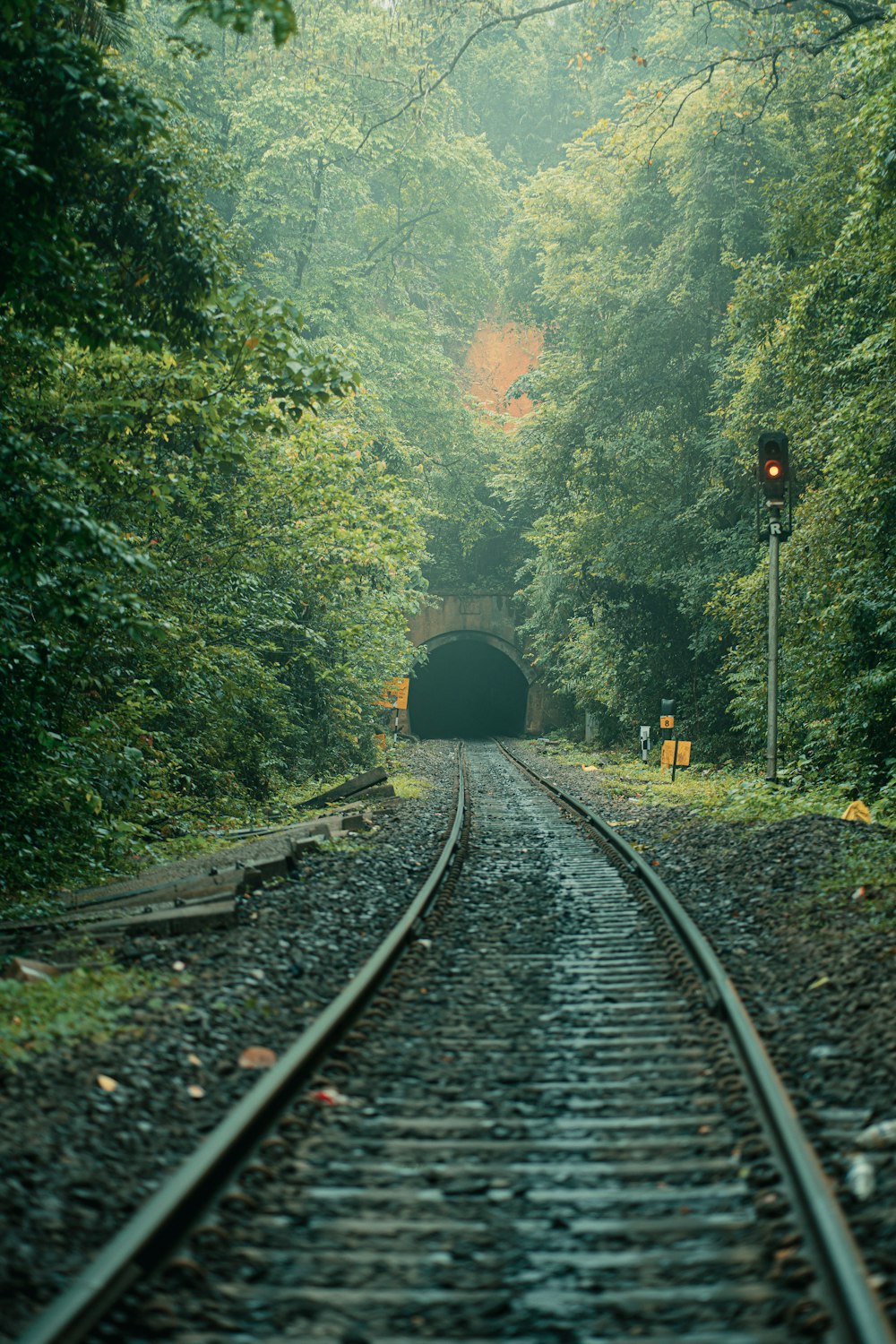 a train track going into a tunnel in the woods