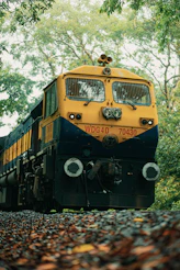 a yellow and black train traveling through a forest