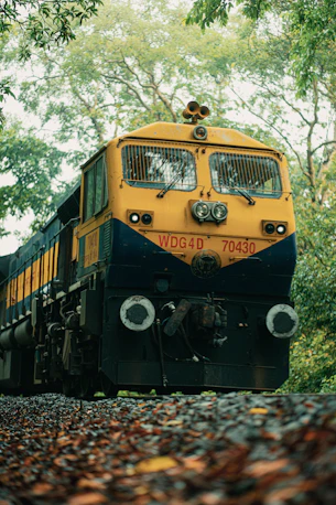 a yellow and black train traveling through a forest