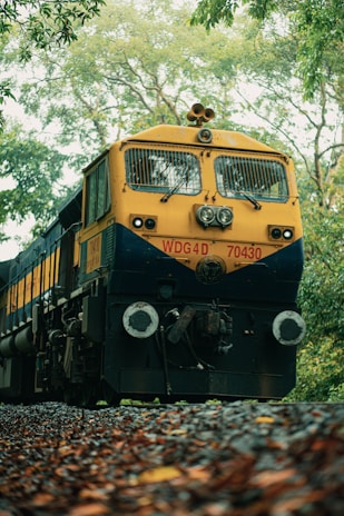 a yellow and black train traveling through a forest