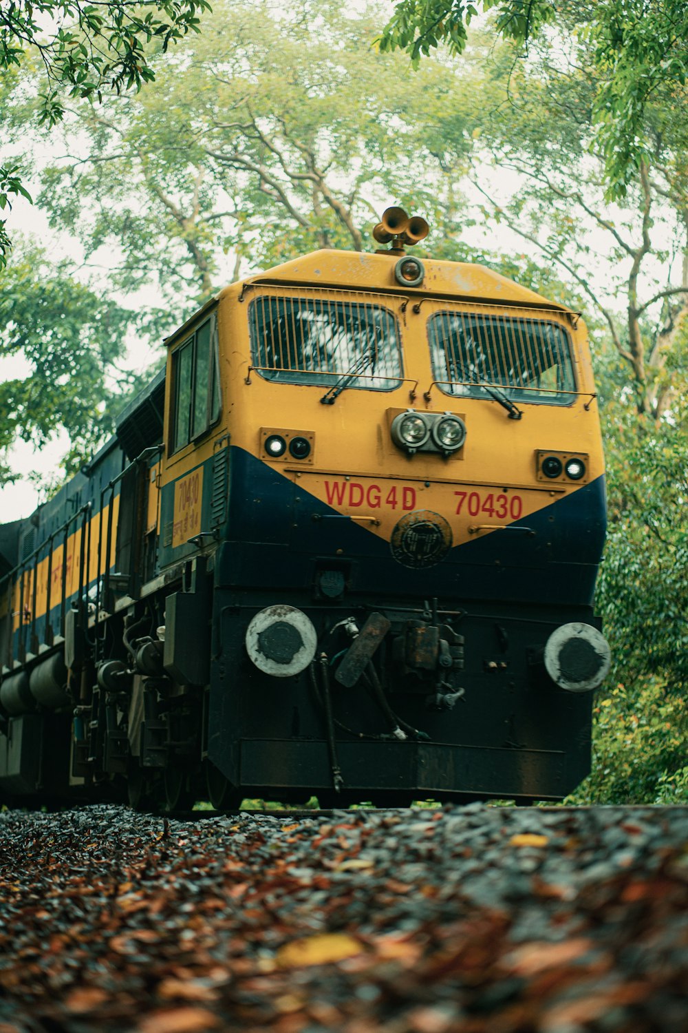 a yellow and black train traveling through a forest