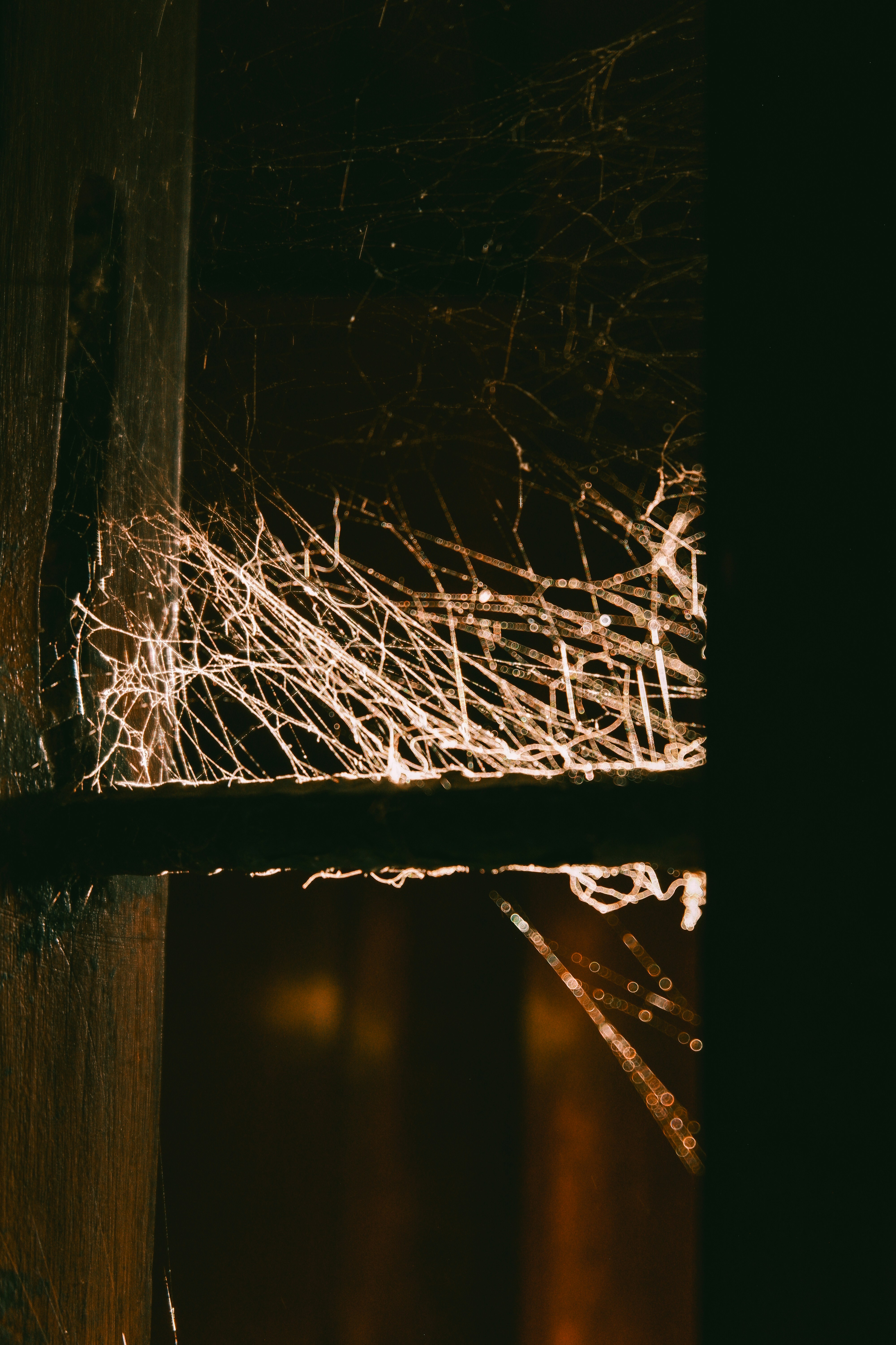 a close up of a spider web on a window