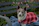 A small dog wearing a colorful handmade sweater sitting happily on a park bench.