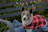 A small dog wearing a colorful handmade sweater sitting happily on a park bench.