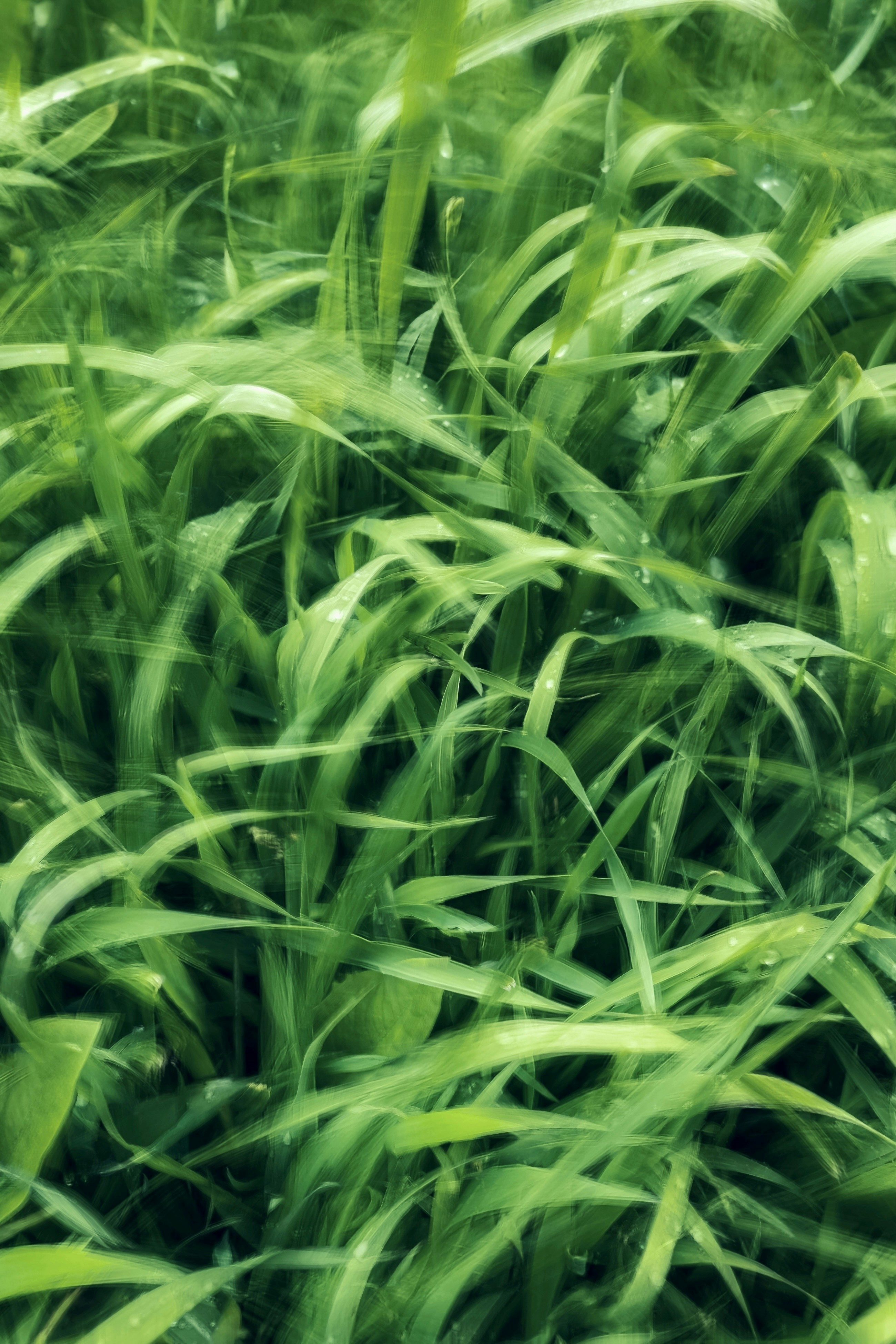 Photo by eugene_golovesov