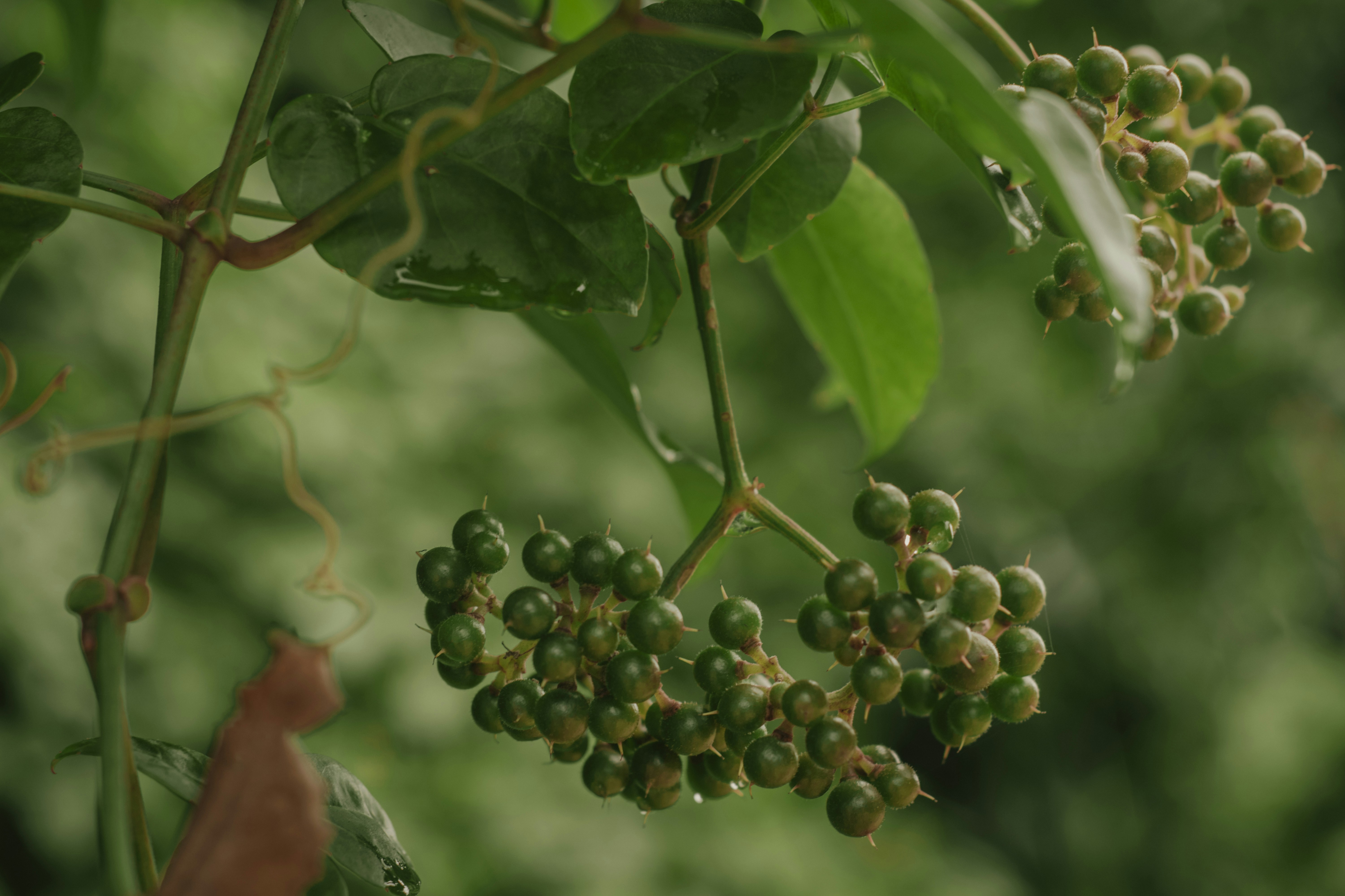 Photo by utunzajiwamazingira