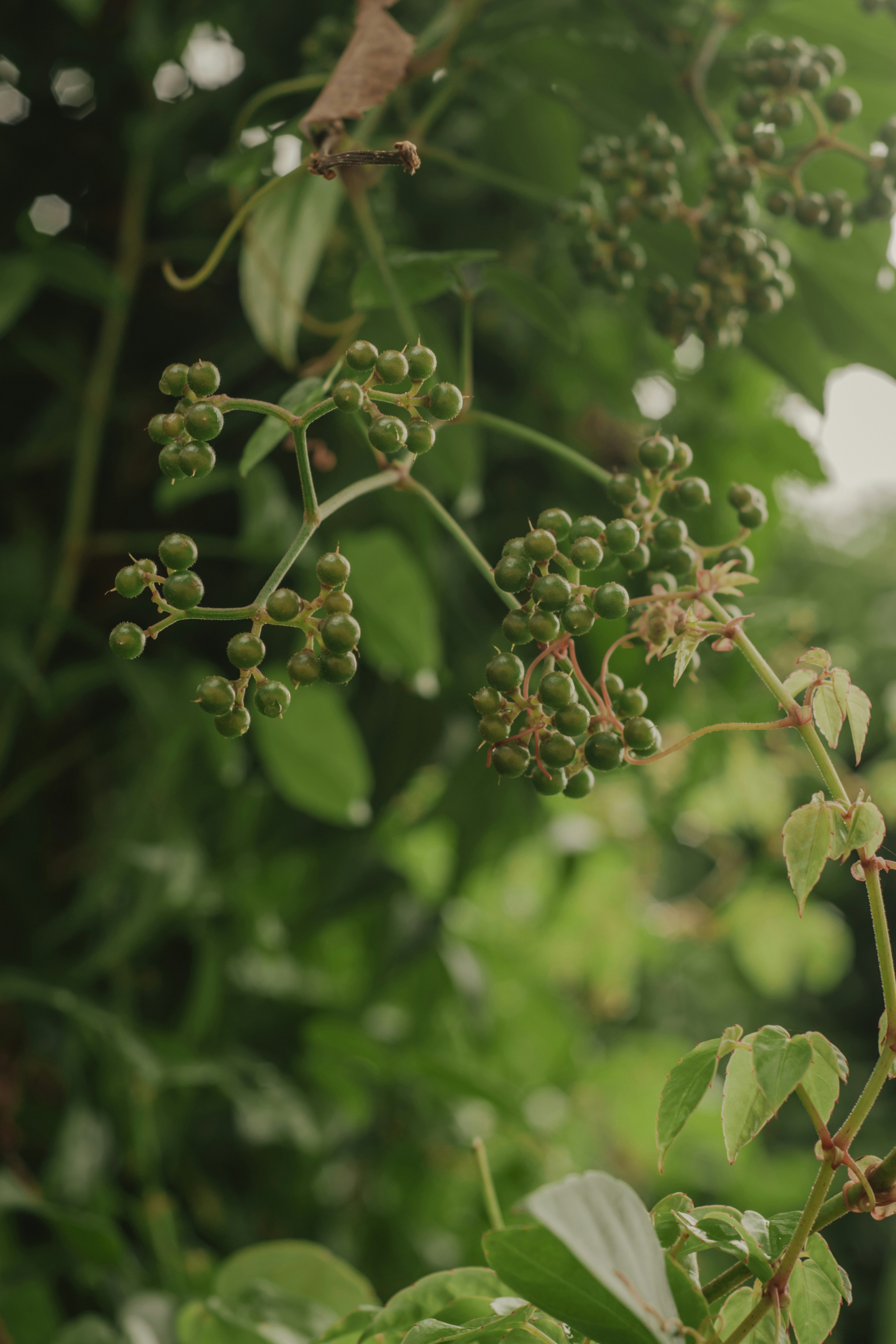 Photo by utunzajiwamazingira