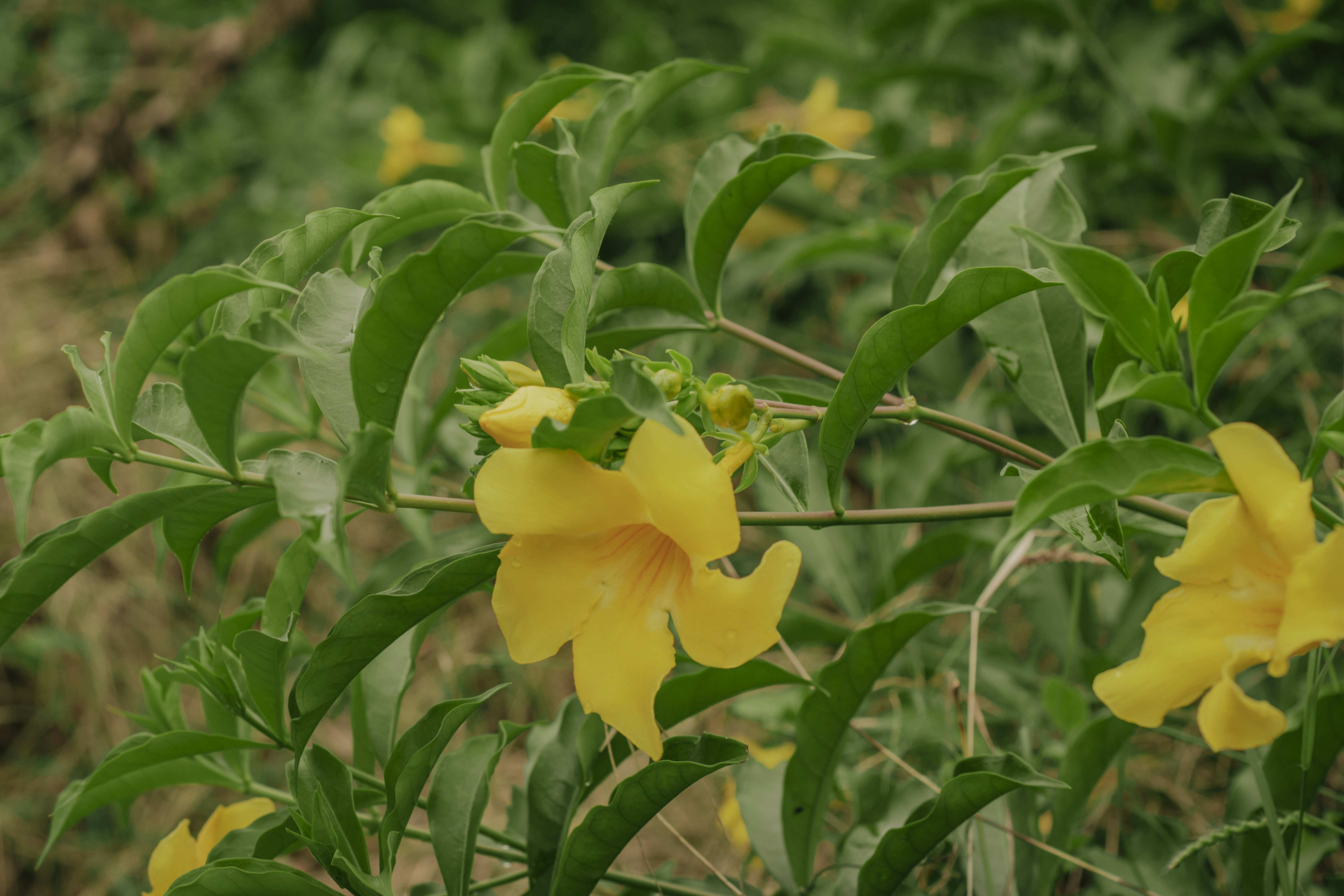 Photo by utunzajiwamazingira