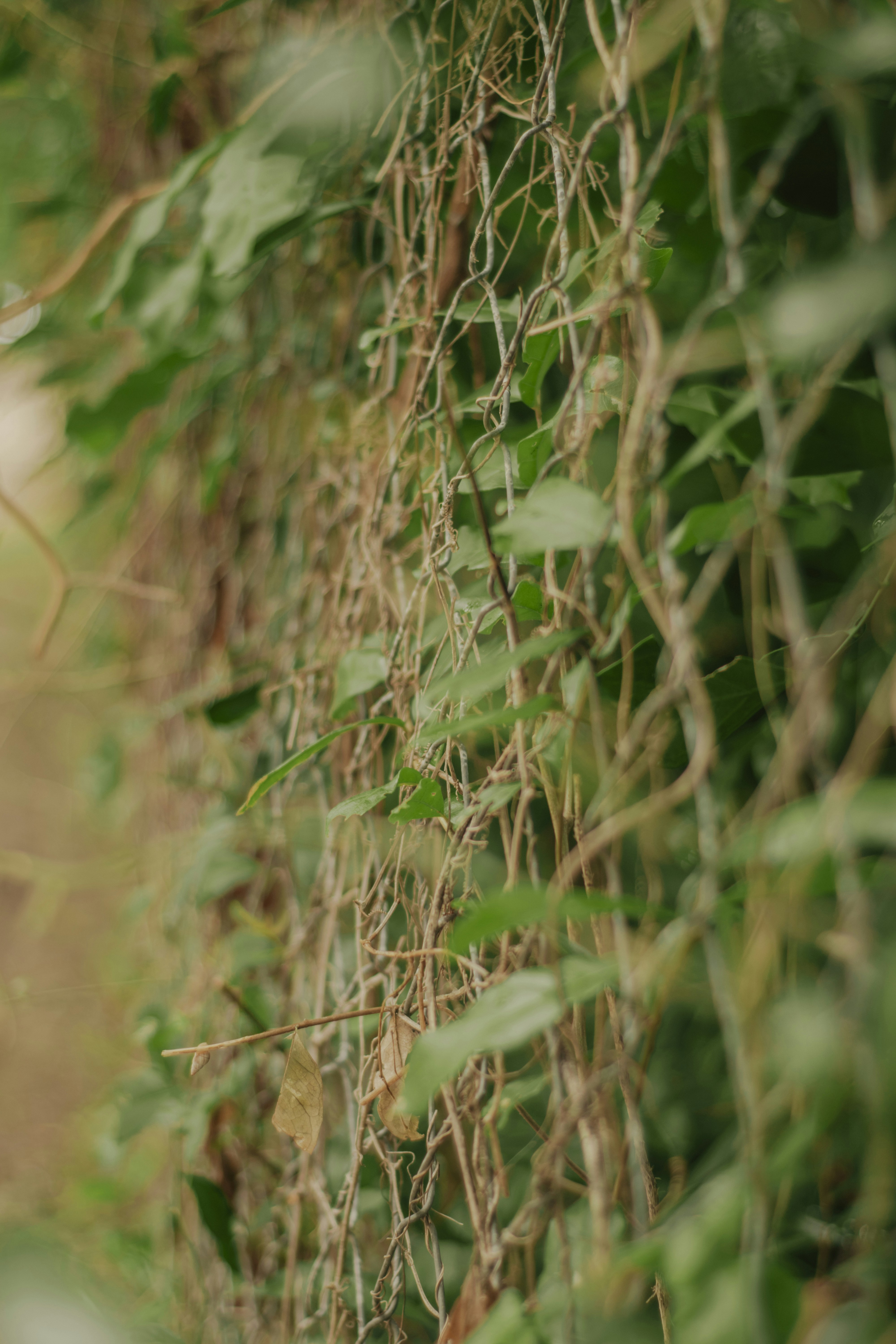 Photo by utunzajiwamazingira