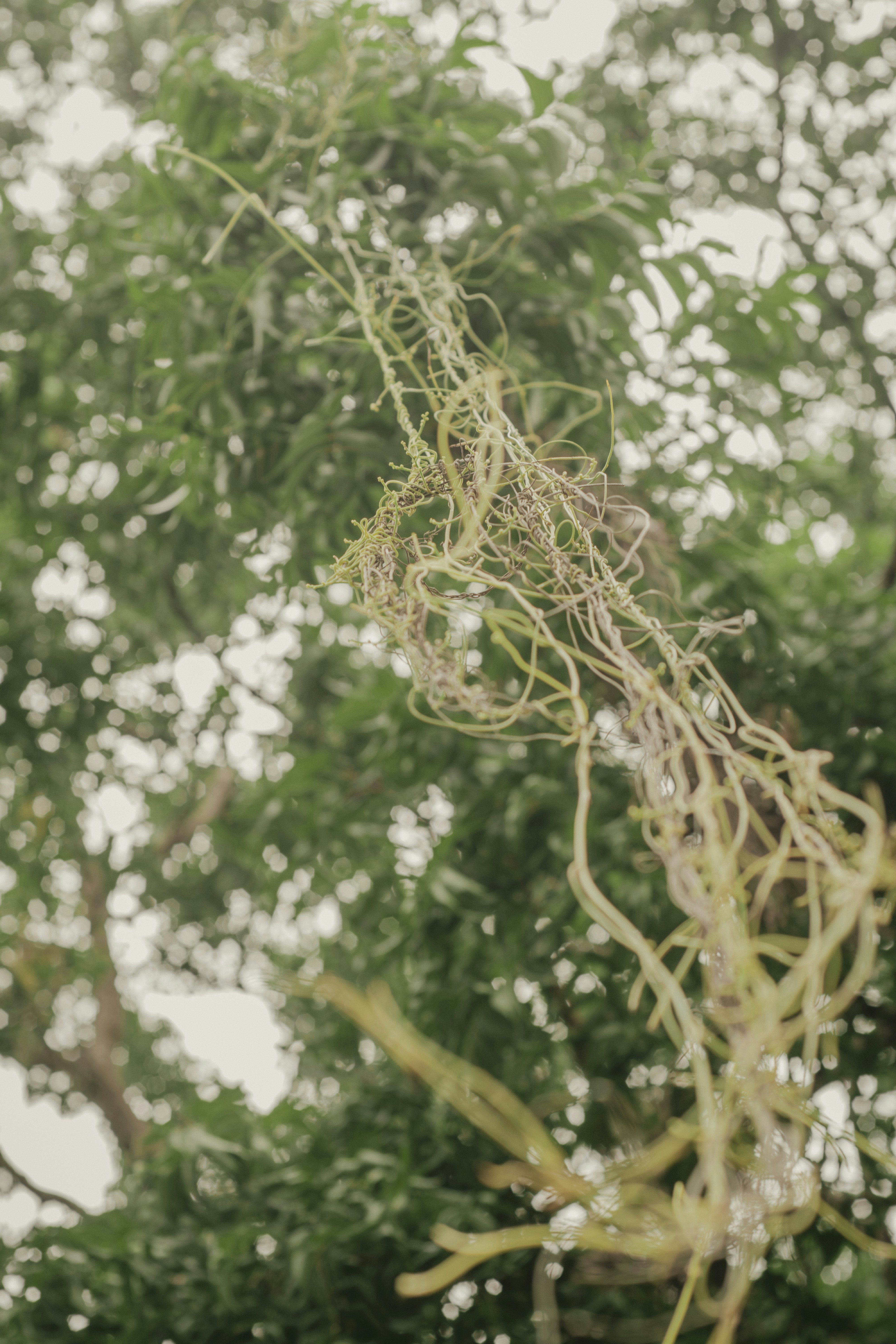 Photo by utunzajiwamazingira