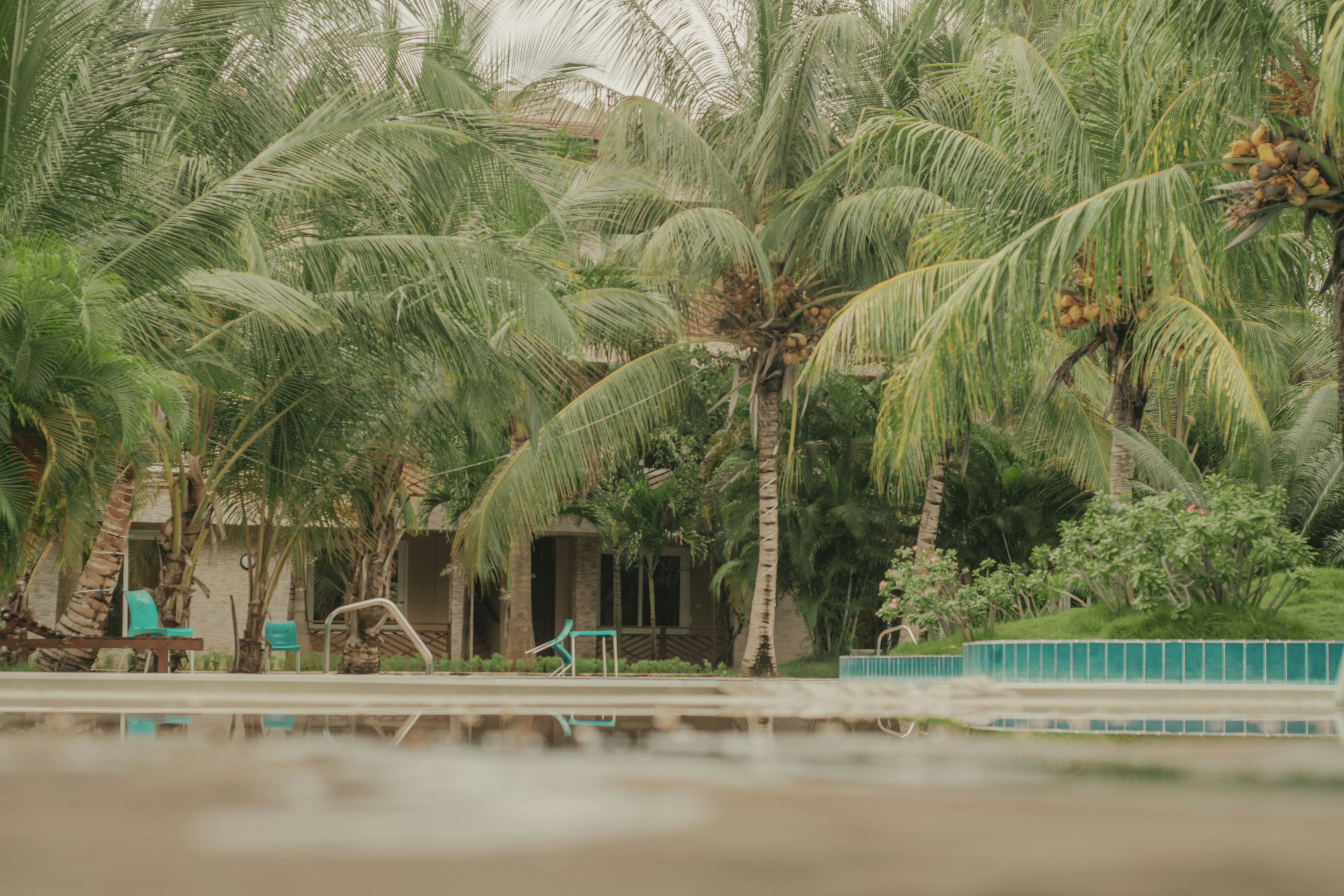 Photo by utunzajiwamazingira