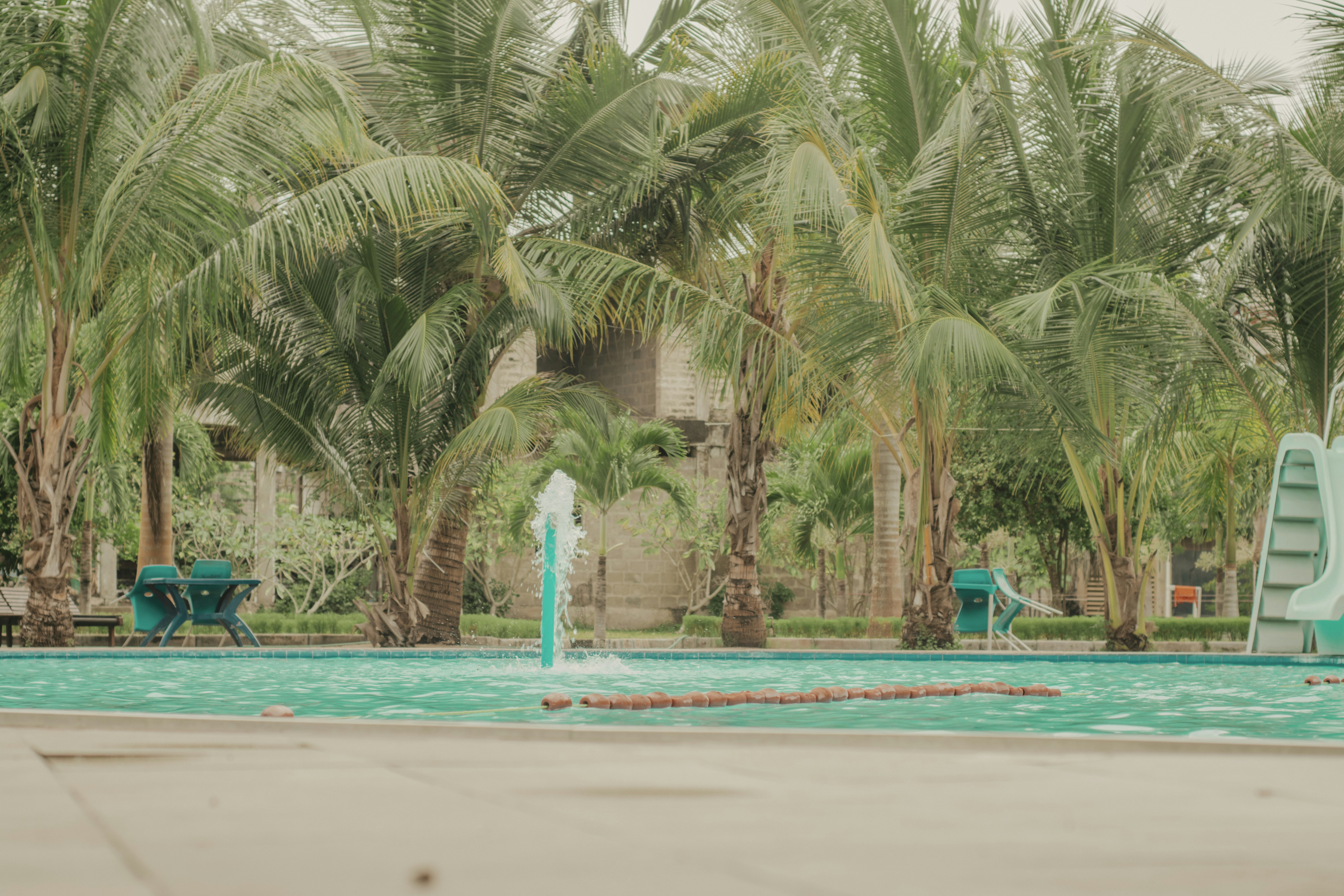 Photo by utunzajiwamazingira