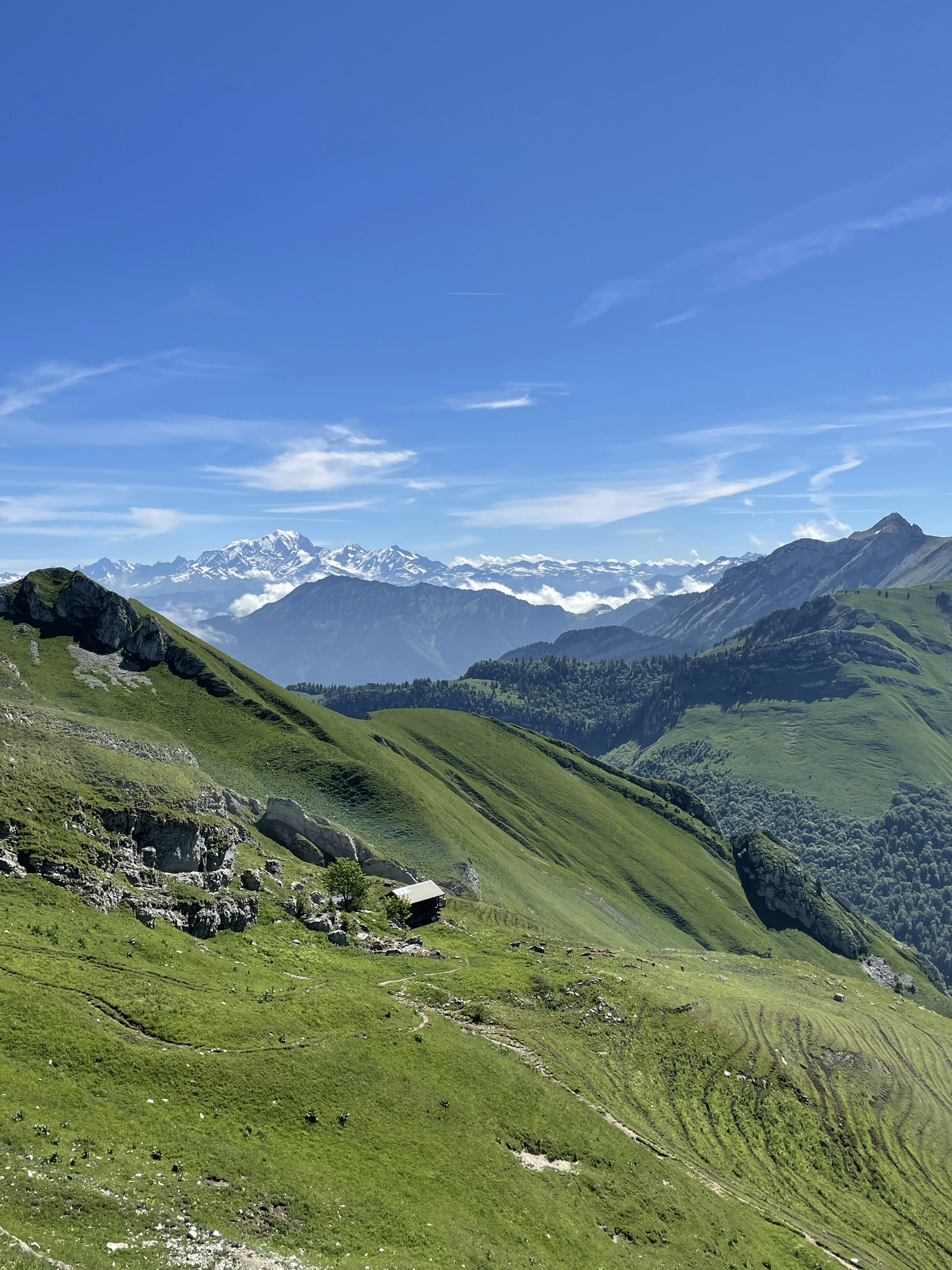 Photo by jeremybilley