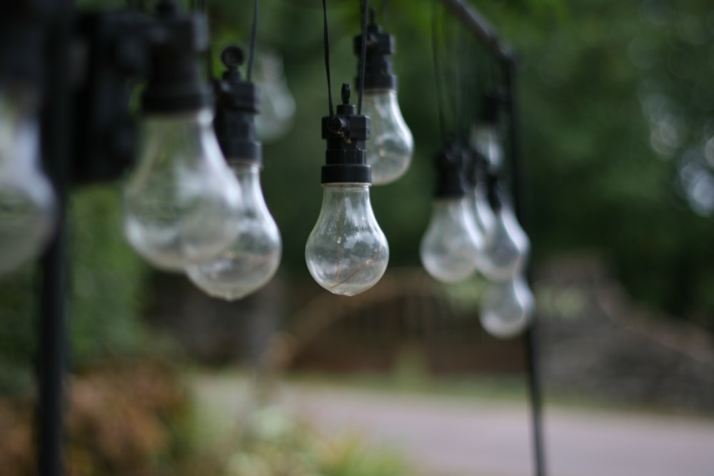 a bunch of light bulbs hanging from a line