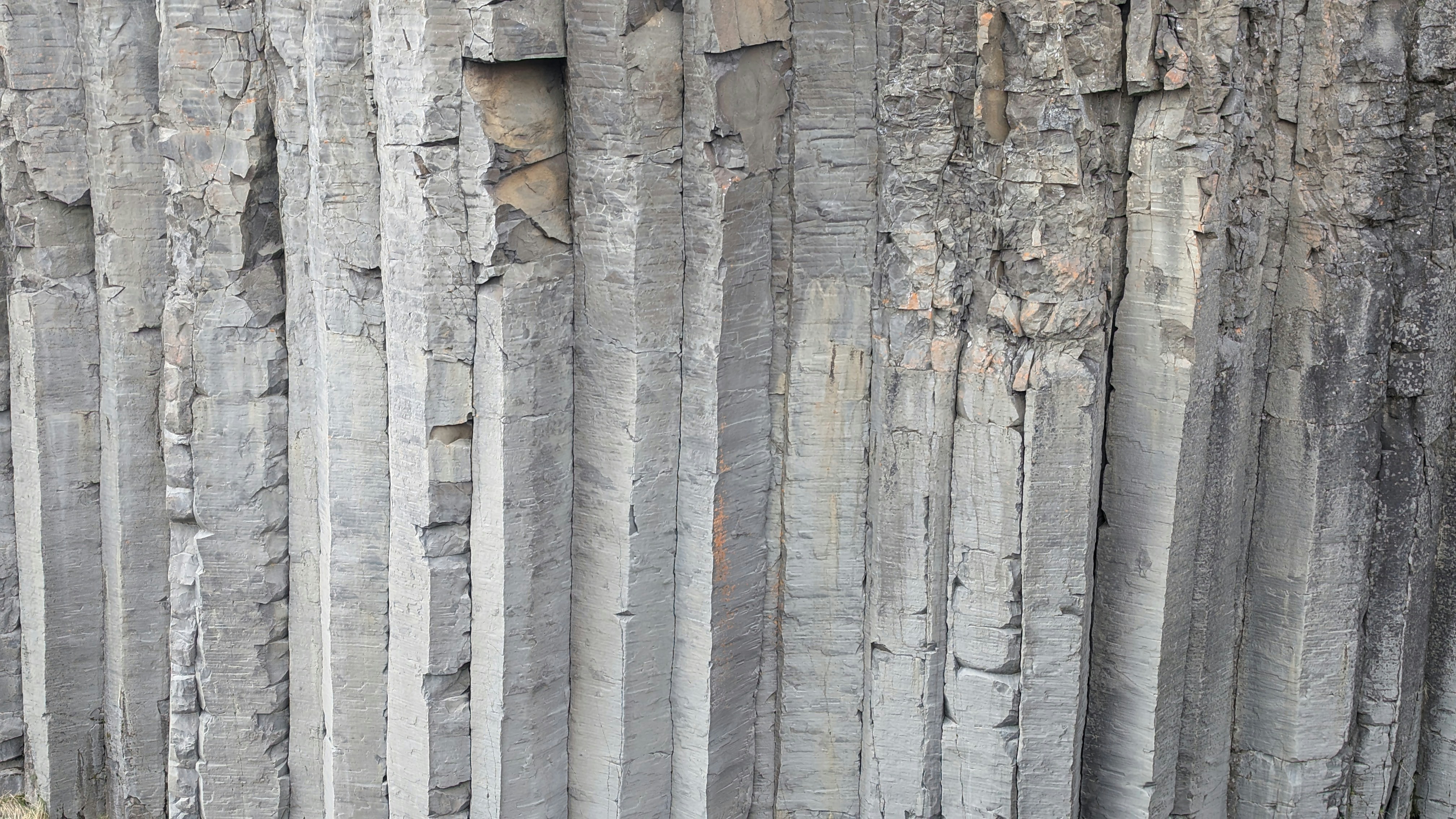 a sheep standing in front of a group of tall rocks