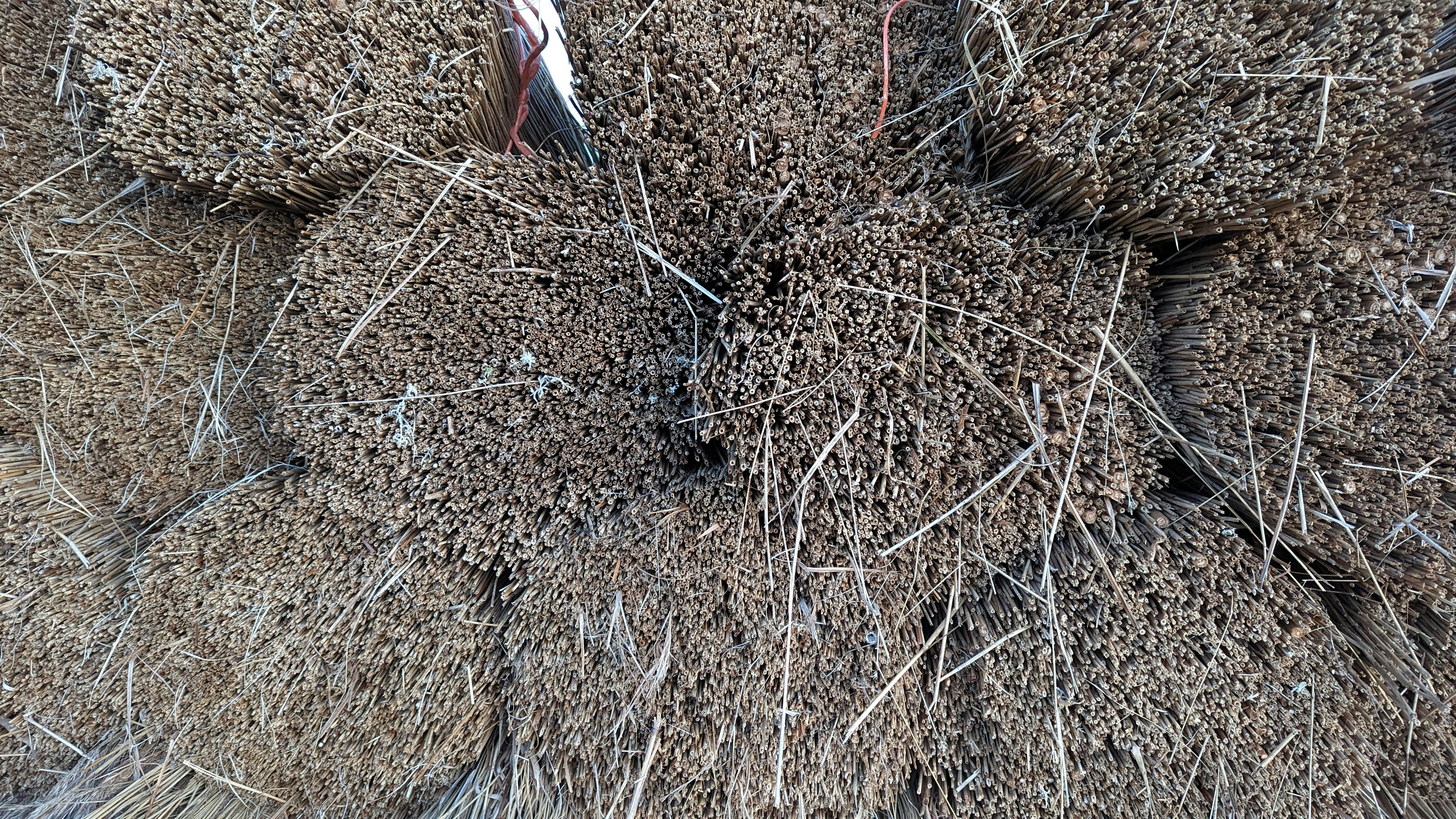 Photo by amadorloureiro