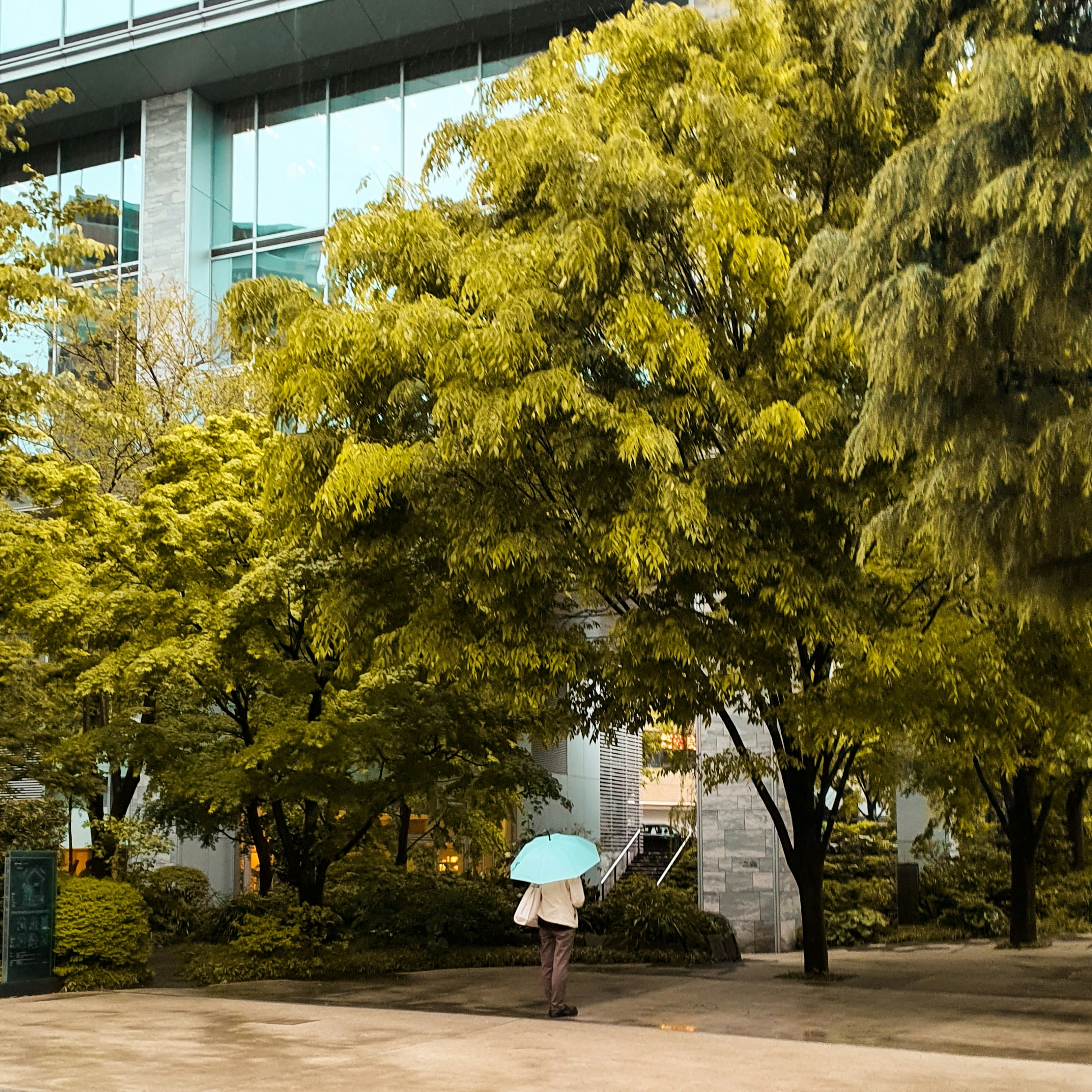 Photo by _marchachacha_