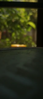 Stunning outdoor cinematic footage of a product in natural light with blurred background.