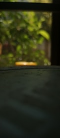 A blurred image with a focus on the background where green foliage is visible, suggesting a natural or outdoor setting. There is a play of light and shadows creating a soft, out-of-focus aesthetic.