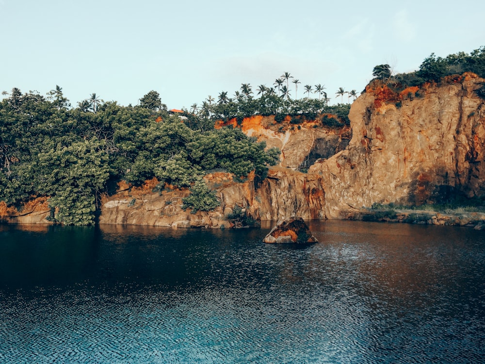 a large body of water surrounded by trees