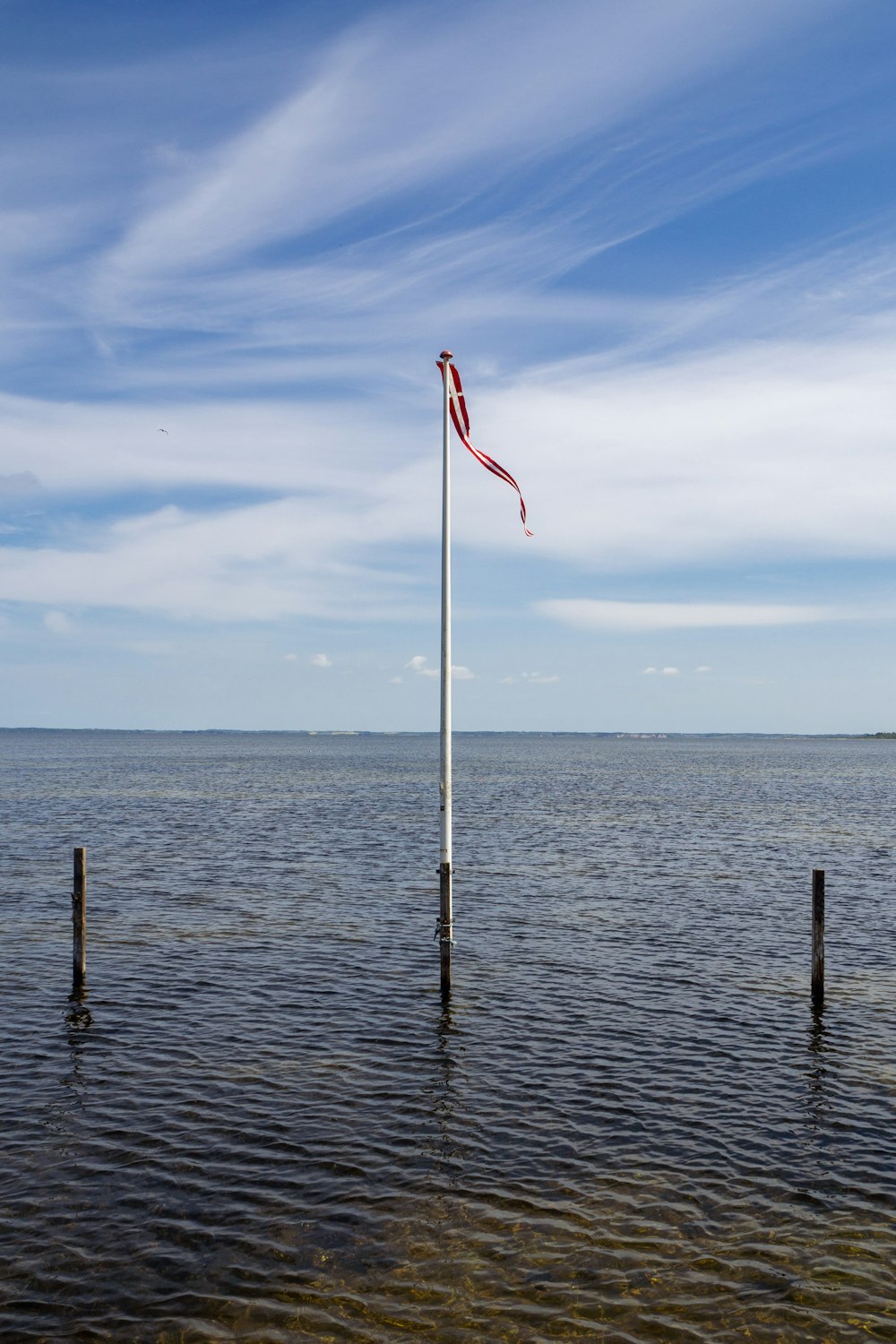 a flag pole sticking out of the water