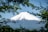 A snow-capped mountain peak rises majestically, framed by lush green leaves in the foreground. The mountain's white summit contrasts against a clear blue sky.