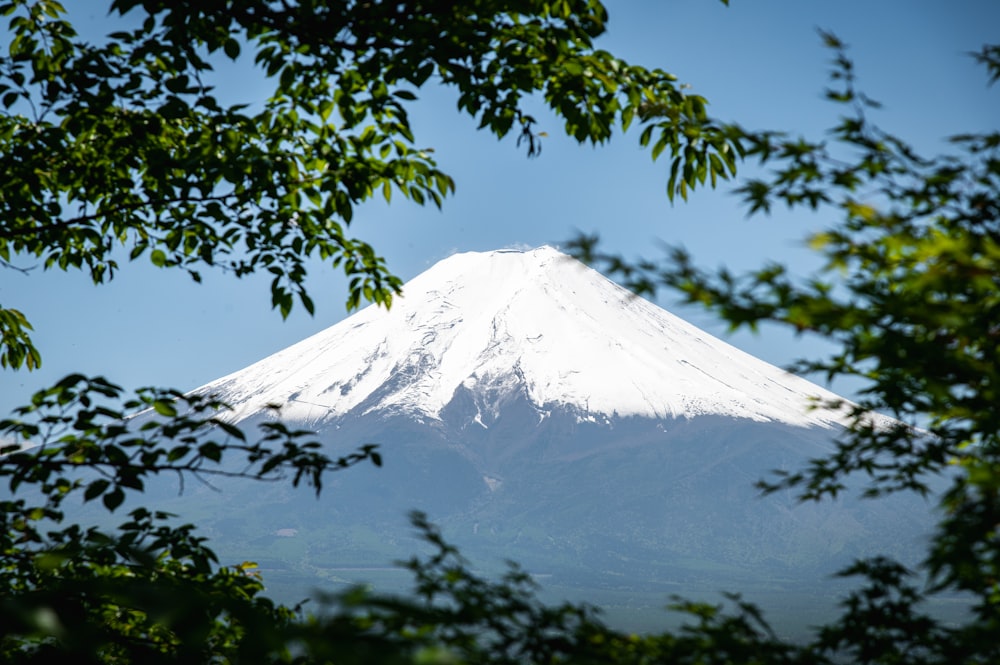 a view of a snow covered mountain through some trees