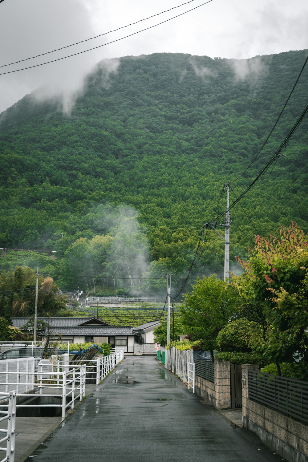 a road with a mountain in the background