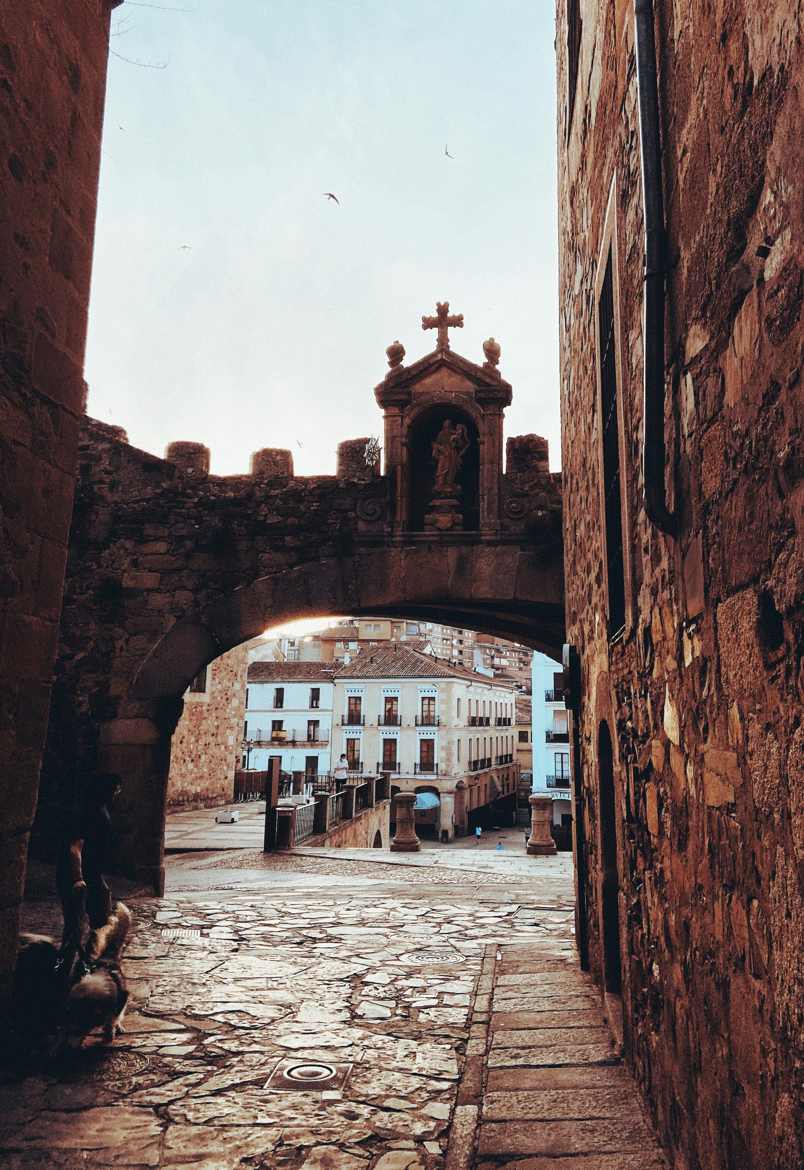 Photo by javiersilva18