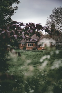 Image showing a cozy, newly built family home surrounded by greenery.