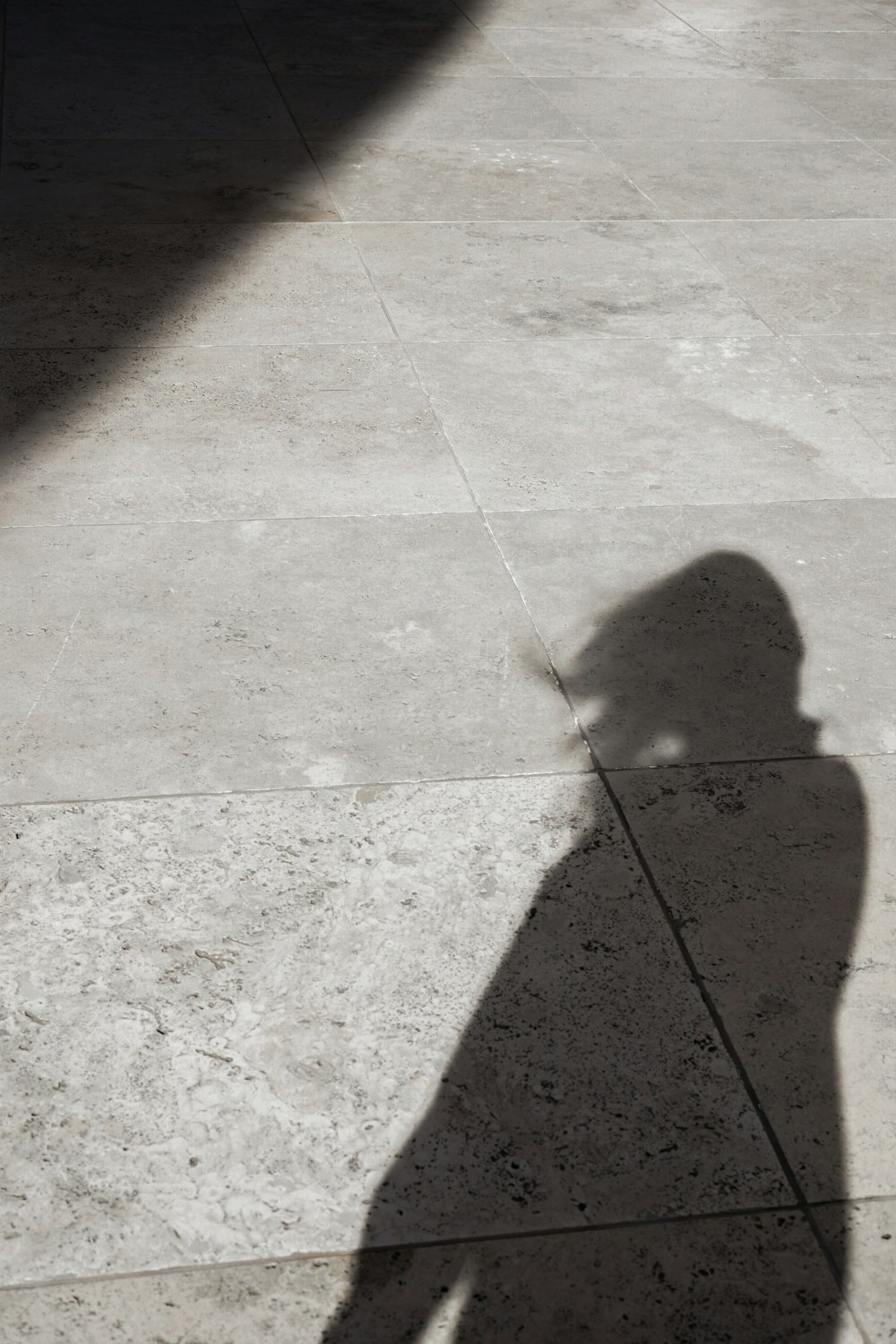 a shadow of a person holding a skateboard