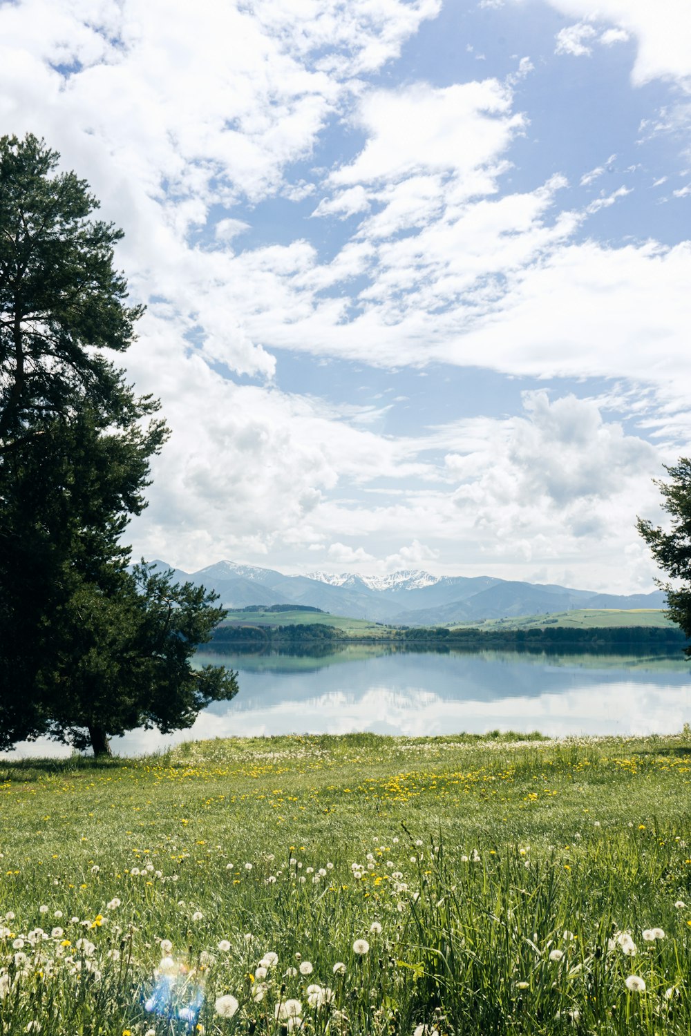 a lake surrounded by a lush green field